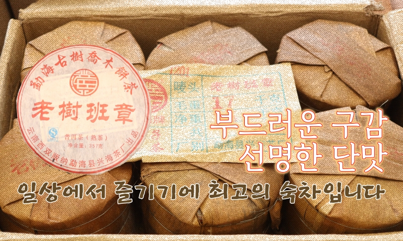 2012년 노수반장 숙병