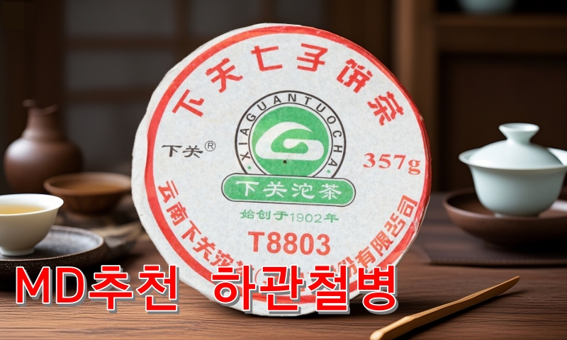 2009년 하관철병 T8803